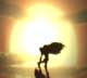 Therin's Avatar