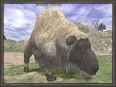Ornery Sheep's Avatar